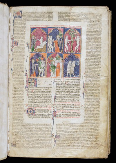 Ms. 262, f.1r: Six Scenes of Creation and Fall from Gratian